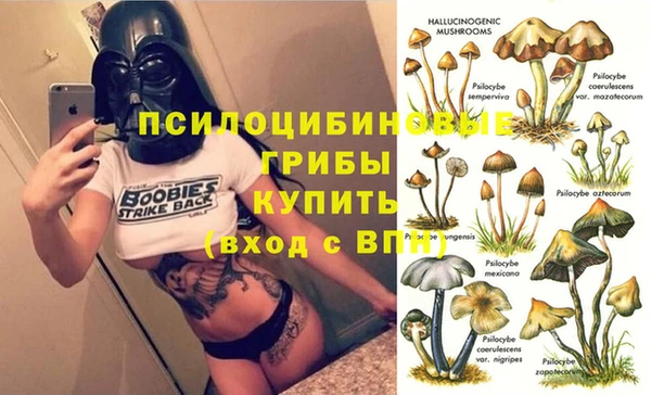 a pvp Аркадак