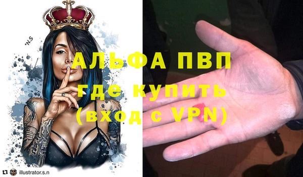 a pvp Аркадак