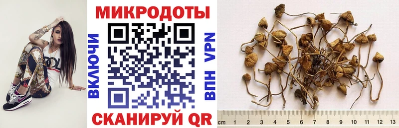 Галлюциногенные грибы мухоморы Строитель